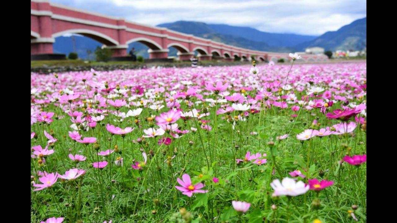 Rose Castle Apartment Taitung ภายนอก รูปภาพ